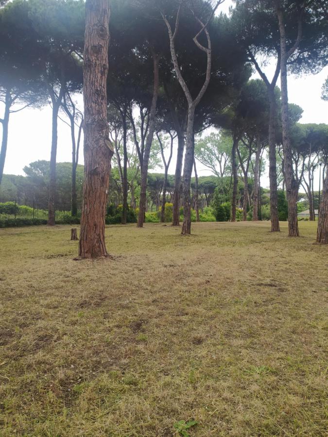 Apartmán Attico Con Terrazza In Via Dei Traghetti Lido di Ostia Exteriér fotografie